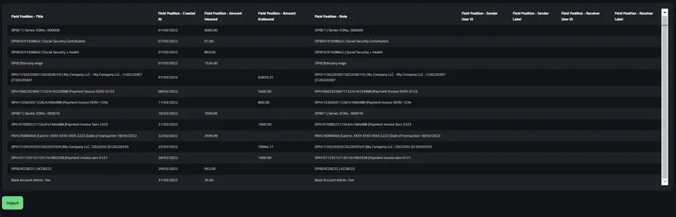 Preview of how the CSV rows will be imported as bank transactions in Enlivy