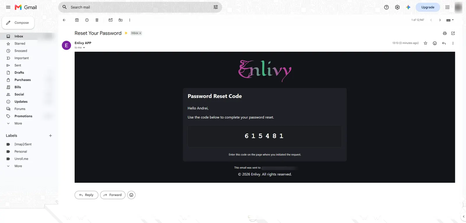 The password reset email from Enlivy containing the reset token to copy