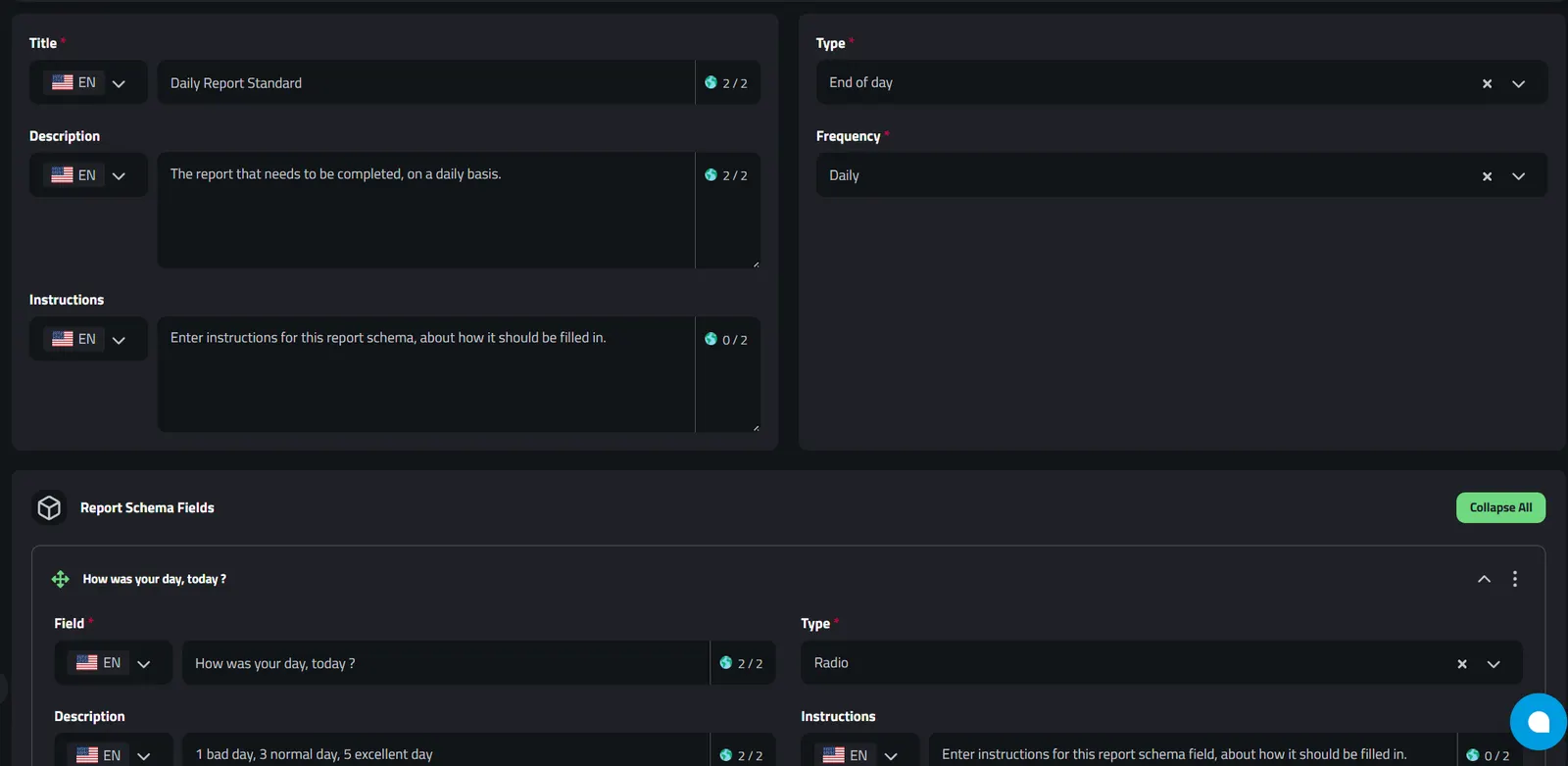 Example of a Report Schema in Enlivy