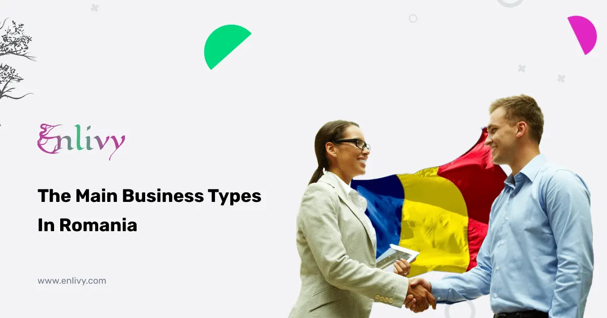 The Main Business Types In Romania