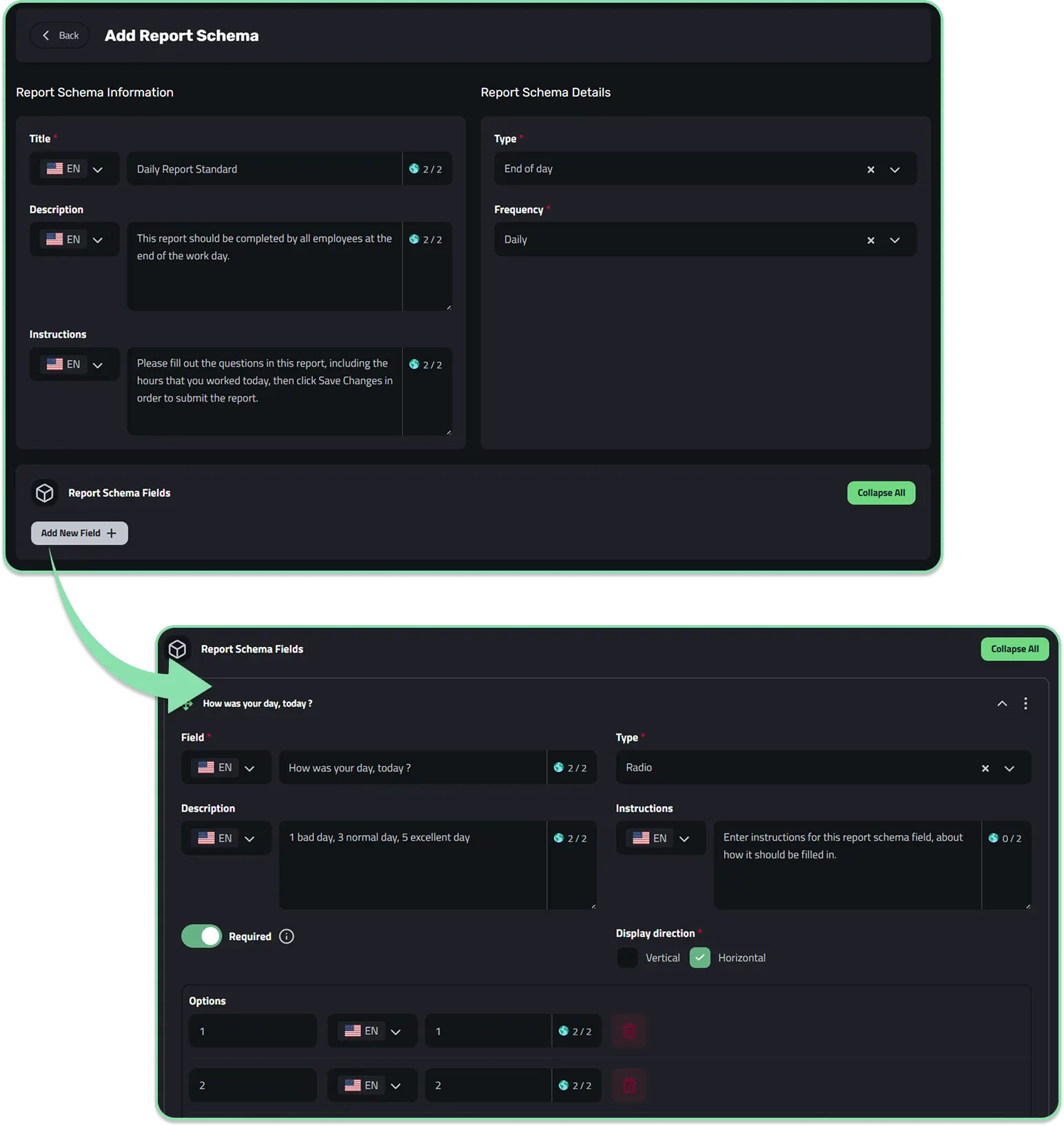 Defining a report schema in Enlivy
