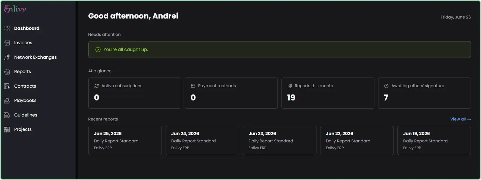 The Enlivy client portal dashboard as a client sees it