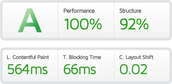 Petri.com PageSpeed performance score after optimization