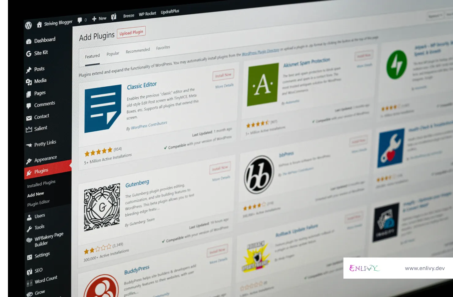WordPress Plugins